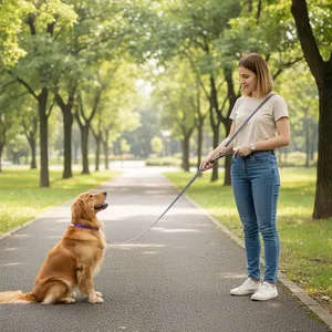 Durable hands-free crossbody dog leash for large dogs shown in a sunny park setting