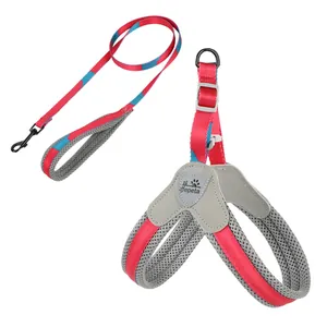 Detailansicht eines reflektierenden Hundegeschirrs und Leinensets in Rot und Blau.
