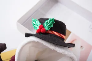Detailansicht eines Schneemannhuts mit Stechpalmen für Weihnachtsoutfits für Haustiere.