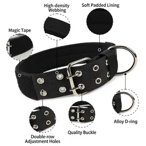 Detailansicht eines strapazierfähigen Hundehalsbands aus Nylon mit Metallschnalle