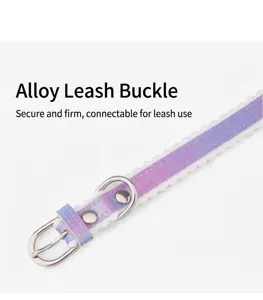 Detail of the durable alloy buckle on a gradient pet collar with wavy edges
