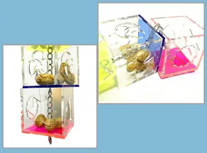 Clear acrylic parrot foraging toy box with hanging chain for bird cage accessories.