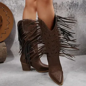 Bruine westernlaarzen met lange franjes en geborduurde sterren voor een trendy look.