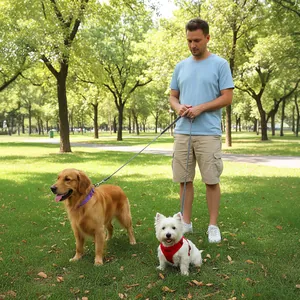 Multifunctional hands-free cross-body dog leash for walking two dogs in the park