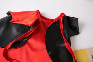 Detailaufnahme des rot-schwarzen Satin-Halloween-Umhangs für Katzen und kleine Hunde