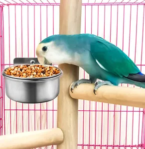 Detailed view of a stainless steel bird feeder bowl attached to a cage with a parrot