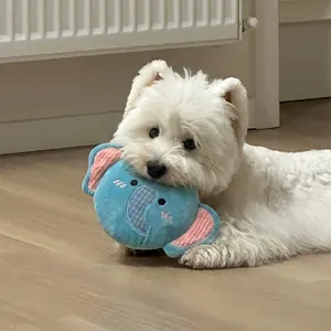 Giocattolo Disco Volante per Cani in Poliestere Peluche a Forma di Leone Elefante Giocattolo Interattivo per Animali