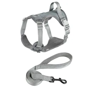 Adjustable grey breathable mesh dog harness vest with matching leash for small pets