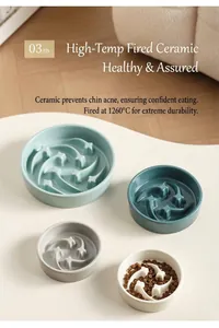 Macro view of high-quality ceramic slow feeder pet bowls in various soft sizes and colors.