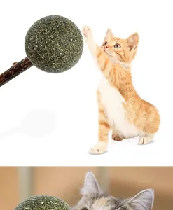 Action shot of an orange tabby kitten reaching for a catnip ball on a silvervine stick.