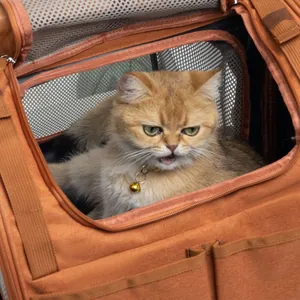 Dettaglio dello zaino trasportino arancione per gatti con rete traspirante e gatto interno