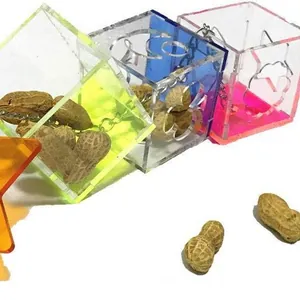 Detailed macro view of colorful acrylic parrot foraging boxes with peanuts inside