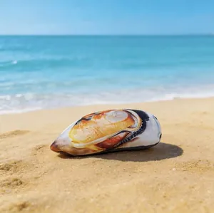 Jouet cataire réaliste en forme de moule avec herbe naturelle sur une plage de sable