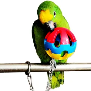 Colorful parrot chewing ball toy with metal chain bell for pet birds on perch.