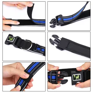 Detailed view of reflective dog collar with quick release buckle and Velcro straps