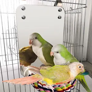 Parrot looking into an acrylic mirror on a colorful rope perch in its bird cage.