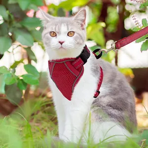 Harnais et laisse pour chat en maille rouge respirante sur un chat dehors