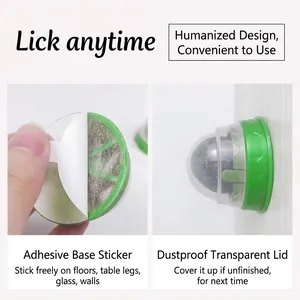 Wall-mounted rotating catnip ball toy with adhesive base and transparent dust cover