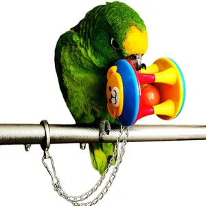 Colorful bird bell ball chew toy with metal chain for parrot exercise and play