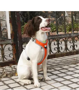Détail d'un chien portant un harnais réglable orange pour animaux de compagnie en plein air