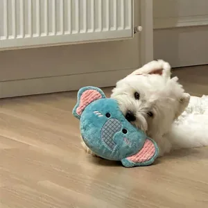 Durevole giocattolo per cani in peluche a forma di koala blu per l'addestramento e il gioco