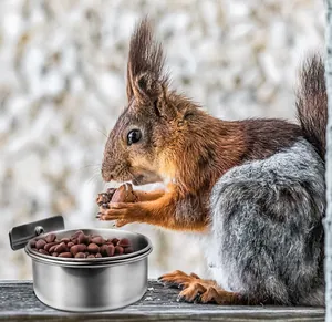 High-quality stainless steel bird feeding bowl detail showing mounting clamp and use