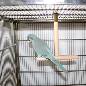 T-shaped natural wooden bird perch stand for parrots mounted inside a sturdy metal cage