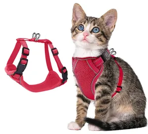 Harnais pour chat en maille rouge respirante pour petits animaux avec sangles réglables
