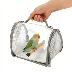 Close-up of a portable transparent bird carrier bag with a lovebird sitting on perch