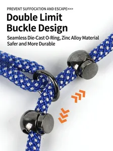 Durable braided dog P-rope leash with zinc alloy safety buckle for pet training.