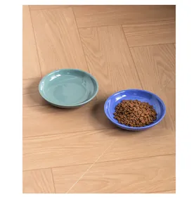 Lot de deux gamelles plates en céramique de 15 cm en bleu et vert pour les chats