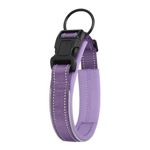 Gros plan d'un collier réfléchissant violet pour chien avec rembourrage