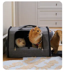 Bolsa de transporte plegable gris para mascotas con dos gatos en una acogedora casa
