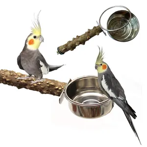 Cockatiels perched on natural wood branches next to stainless steel bird food bowls