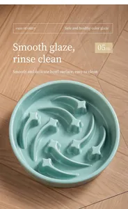 Detailed view of the smooth ceramic surface of a meteor-shaped slow feeder pet bowl
