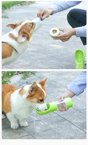 Außenszene mit einem Corgi, der die grüne tragbare Haustier-Wasser- und Futterflasche benutzt