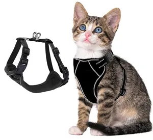 Détail d'un harnais noir pour chat respirant et anti-évasion montré sur un chaton