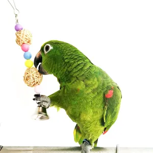 Colorful parrot chewing toy with straw balls and bell, shown with a green parrot.