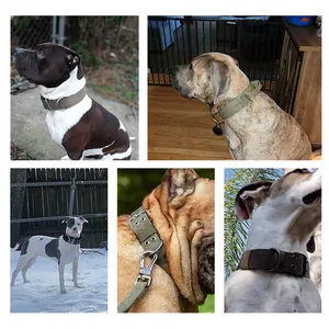 Robustes taktisches Hundehalsband aus Nylon für große Rassen, ideal für Pitbulls