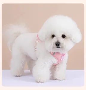Vue détaillée d'un Bichon Frisé blanc portant un harnais rose style gilet pour chien