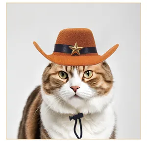 Western style brown pet cowboy hat with gold star and adjustable strap shown on a cat