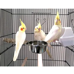 Detailed macro view of a durable stainless steel bird feeding cup mounted inside a wire cage