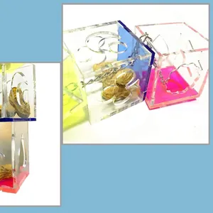 Acrylic parrot foraging toy box with hanging chain for puzzle feeding in cages