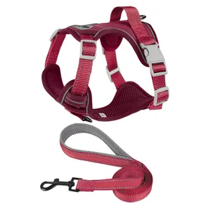 Detail view of pink reflective dog harness and leash set with breathable mesh lining