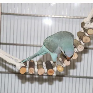 Natural wood bridge ladder toy for parrots showing a blue bird climbing inside a cage