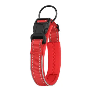 Gros plan détaillé d'un collier réfléchissant rouge pour chien avec boucle robuste