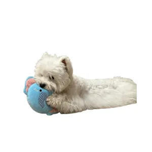 Resistente peluche elefante blu per cani per l'addestramento alla masticazione attiva