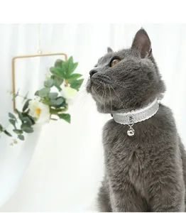 Primer plano de un gato gris con un elegante collar plateado brillante con un cascabel pequeño