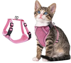 Détail en gros plan montrant un chaton portant le harnais en maille rose respirant