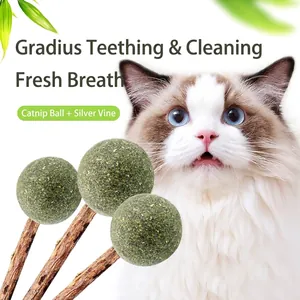 Catnip ball lollipop silvervine teething sticks for cat breath cleaning and chewing